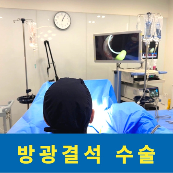 KakaoTalk_20260506_152910849_04.jpg